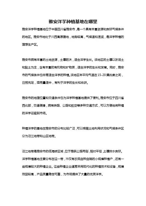 雅安洋芋种植基地在哪里