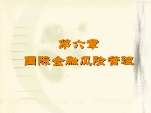 5国际金融风险