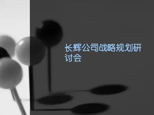 战略规划研讨会PPT