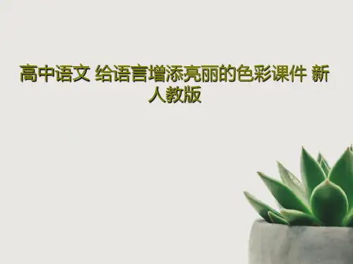 高中语文 给语言增添亮丽的色彩课件 新人教版30页PPT