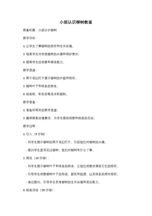 小班认识柳树教案