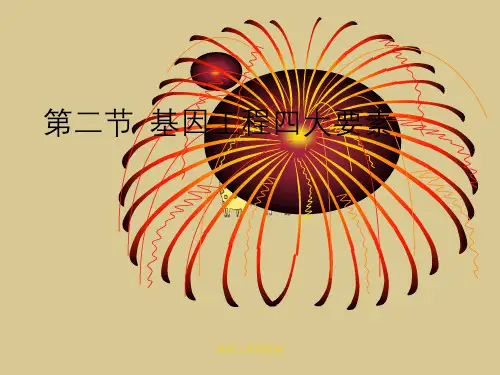 基因工程四要素