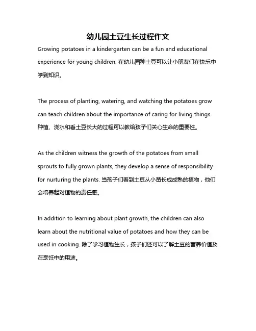 幼儿园土豆生长过程作文