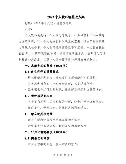 2023个人软环境整改方案