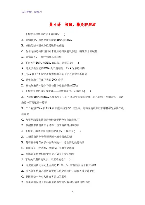 高三生物一轮复习课时作业7：核酸、糖类和脂质 练习