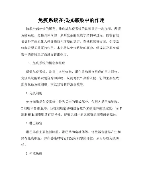 免疫系统在抵抗感染中的作用