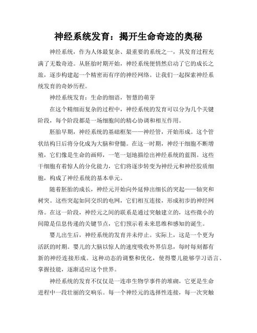 神经系统发育
