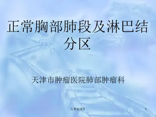正常胸部CT肺段及淋巴结分区ppt课件