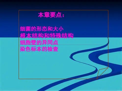 第1章 细菌的形态与结构(共134张PPT)