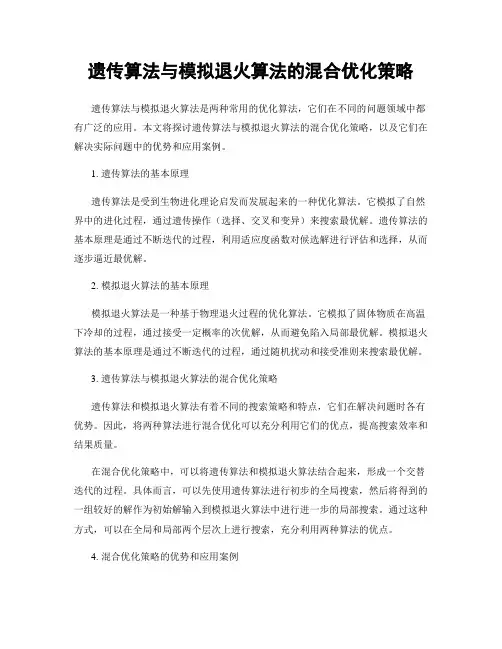 遗传算法与模拟退火算法的混合优化策略
