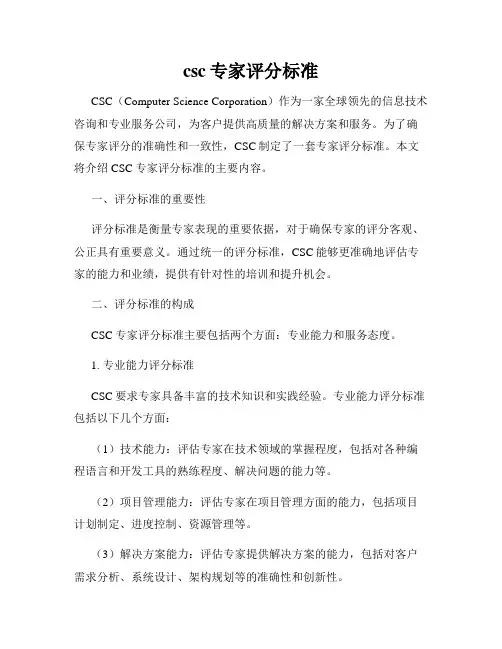 csc专家评分标准