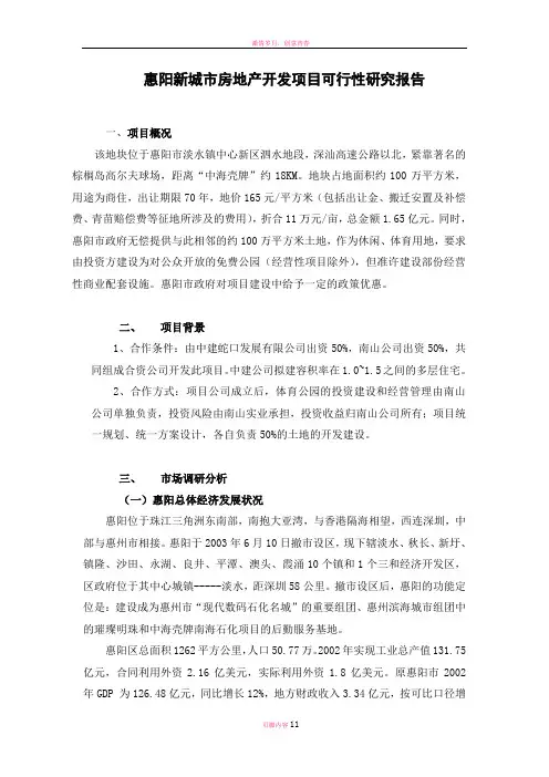 惠阳项目可行性分析报告