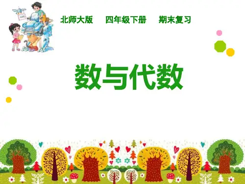 -数与代数(课件)