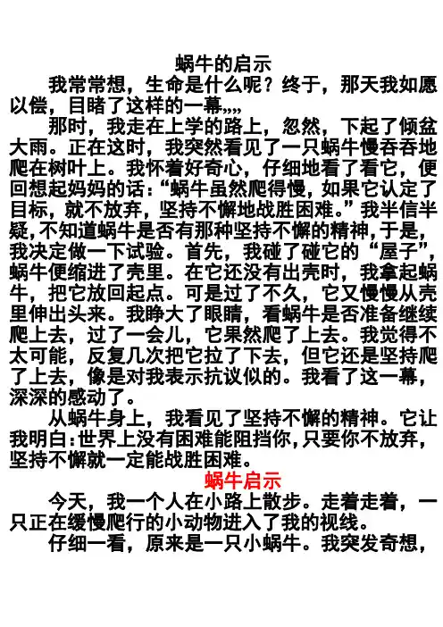 蜗牛的启示