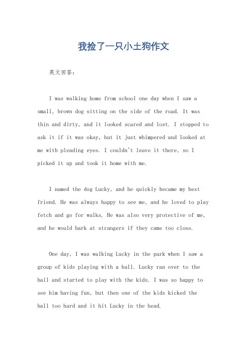 我捡了一只小土狗作文