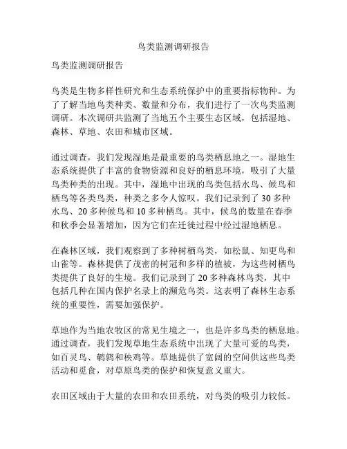 鸟类监测调研报告