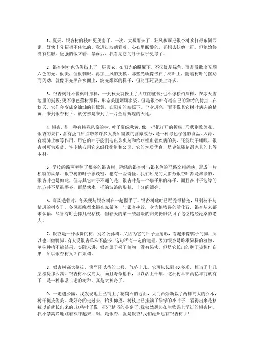 描写银杏树的优美句子