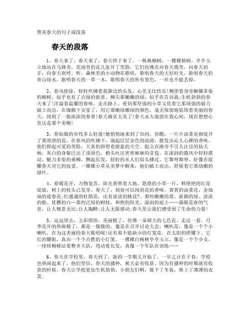 赞美春天的句子或段落