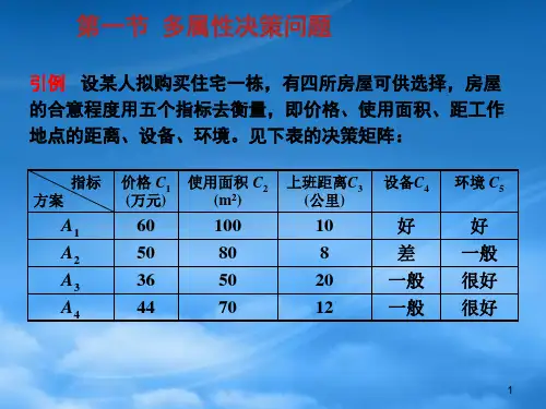 多属性决策讲义课件