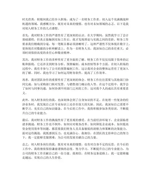 刚入职财务工作感想