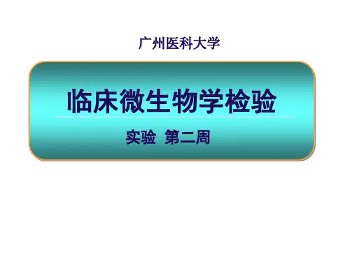 临床微生物检验_实验二