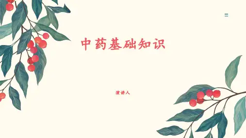 中药基础知识PPT简单