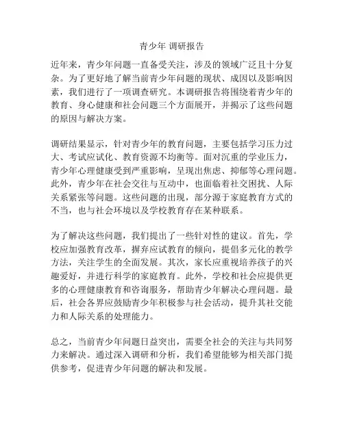 青少年 调研报告