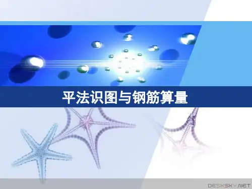 平法识图与钢筋算量__ppt课件