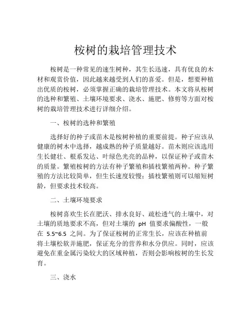 桉树的栽培管理技术