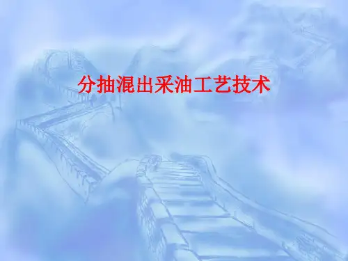 分抽混出(分出)采油工艺简介解剖