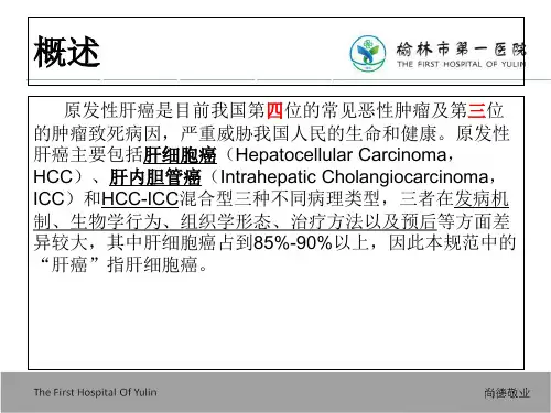 2018年原发性肝癌诊疗指南解读2017版_文档资料全