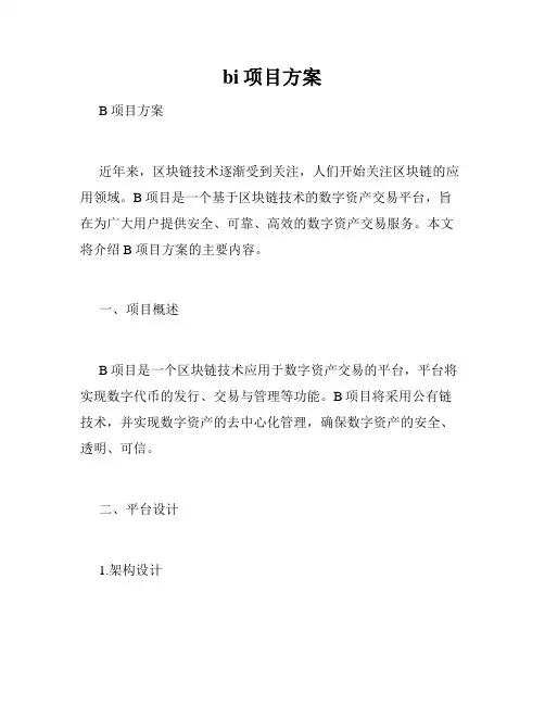 bi项目方案