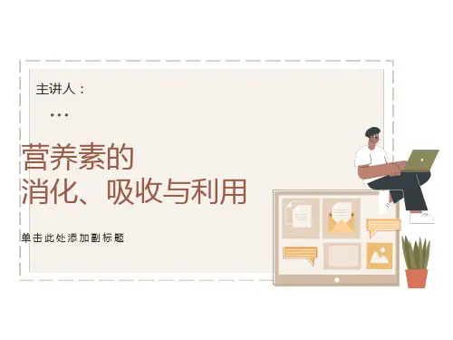 营养素的消化、吸收和利用
