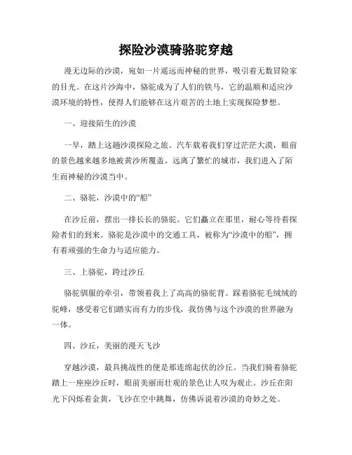 探险沙漠骑骆驼穿越