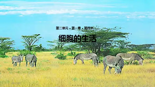 七年级生物上册第二单元第一章第四节《细胞的生活》教学