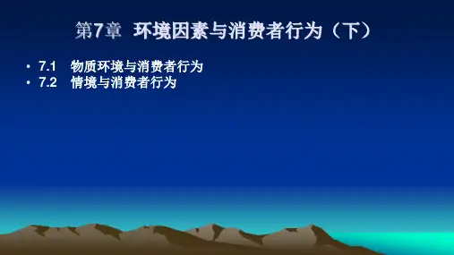 第7章 环境因素与消费者行为(下) 《消费行为学》PPT课件
