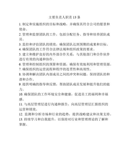 主要负责人职责13条
