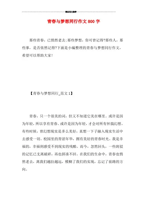 青春与梦想同行作文800字