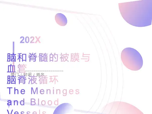 脑和脊髓的被膜血管
