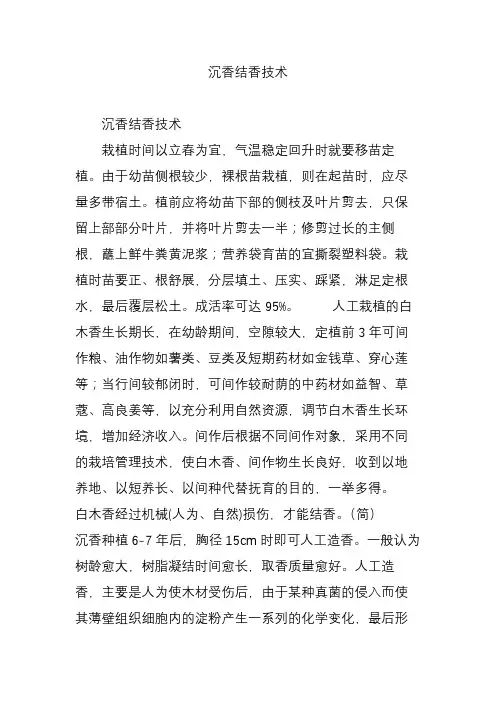 沉香结香技术