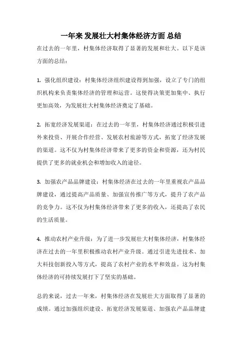一年来 发展壮大村集体经济方面 总结