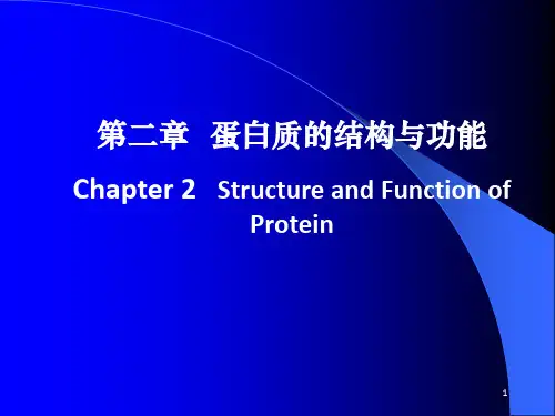 蛋白质的结构与功能(2)
