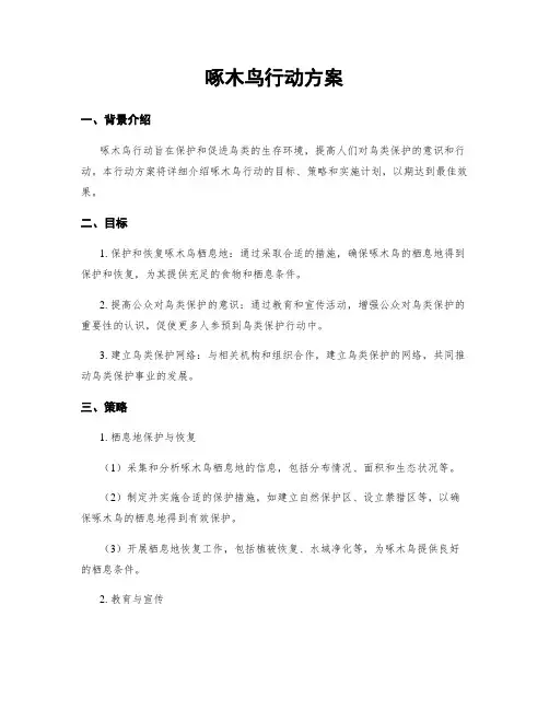 啄木鸟行动方案