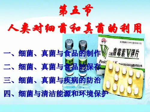 5.4.5人类对细菌和真菌的利用