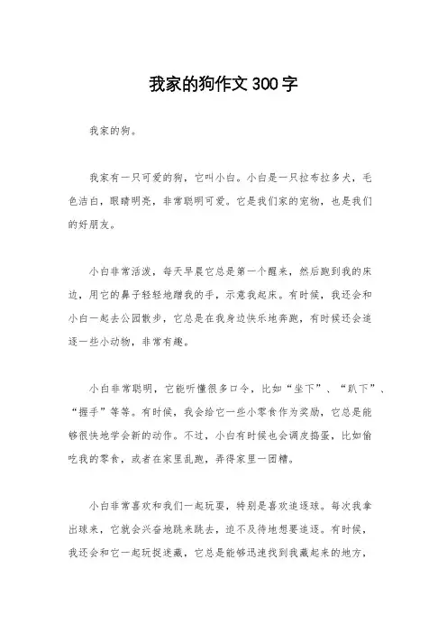 我家的狗作文300字