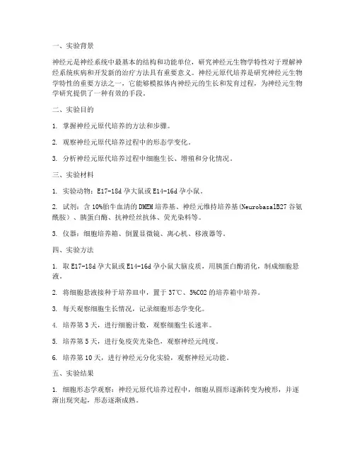 神经元原代培养实验报告