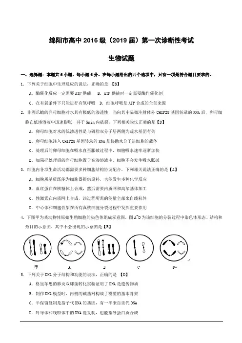 四川省绵阳市2019届高三上学期第一次(11月)诊断性考试理综生物试题 (附答案)