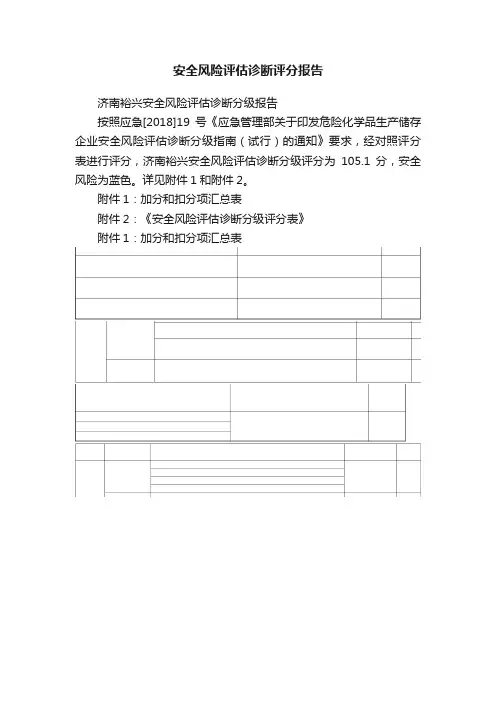 安全风险评估诊断评分报告