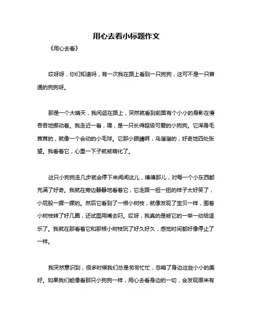 用心去看小标题作文