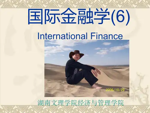 国际金融学(6)